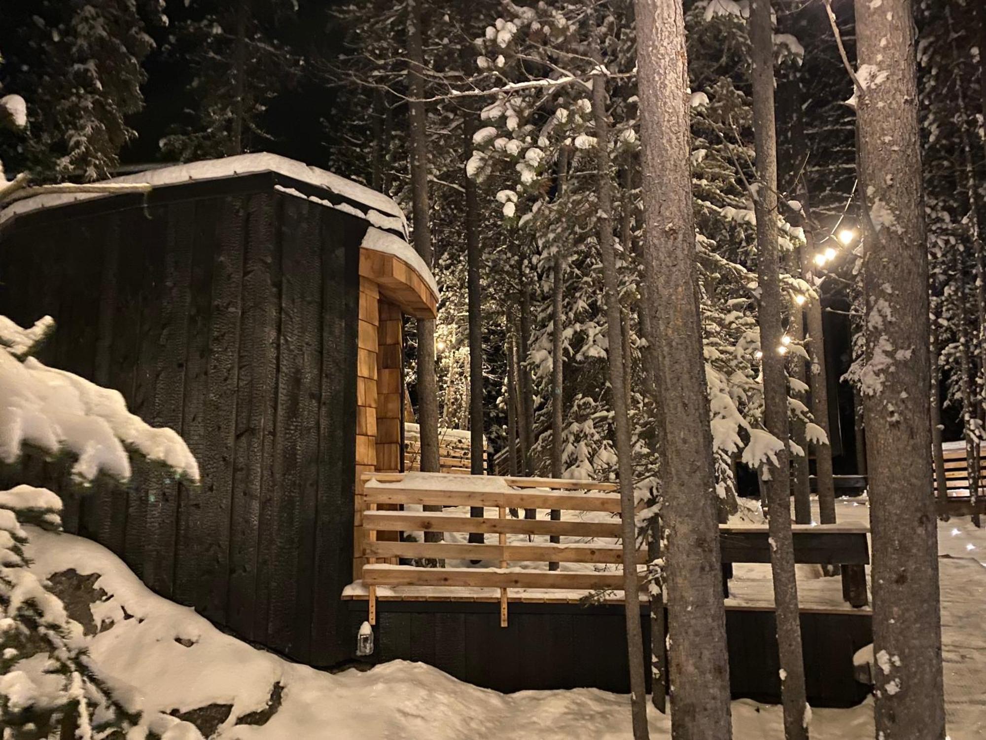 Black Spruce - Yellow Door *